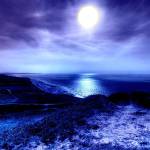Moon Night profile picture