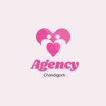 Agency Chandigarh profile picture